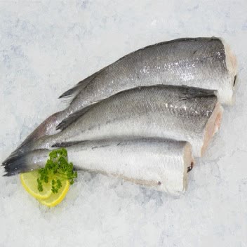 Cape hake Letap Fishing